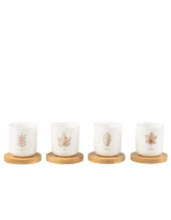 Boîte De 4 Tasses à Café + Soucoupe En Bambou Feuille Windownbox Céramique Marron