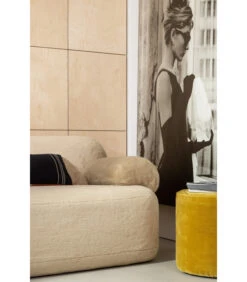 Canapé 2 Places Fausse Fourrure Naturel -Magasin De Meubles De Qualité canape 2 places fausse fourrure naturel 3