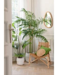 Chaise En Rotin Naturel -Magasin De Meubles De Qualité chaise en rotin naturel 3