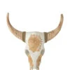 Crâne Vache Bois D'Albasia Blanc