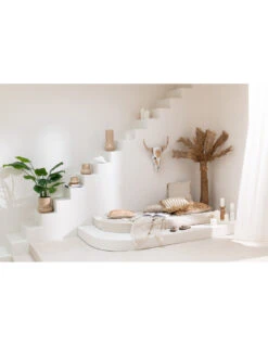 Crâne Vache Bois D'Albasia Blanc 9 Crâne Vache Bois D'Albasia Blanc -Magasin De Meubles De Qualité crane vache albatre bois blanc 2 4