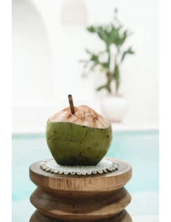 Dessous De Plat Jonc De Mer Et Coquillage - Blanc -Magasin De Meubles De Qualité dessous de plat jonc de mer et coquillage blanc 3