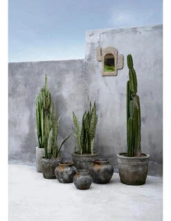 Miroir Cactus Coquillage - Naturel -Magasin De Meubles De Qualité miroir cactus coquillage naturel 2