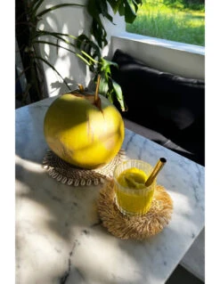 Sous-verre Coquillage - Naturel -Magasin De Meubles De Qualité sous verre coquillage naturel 2