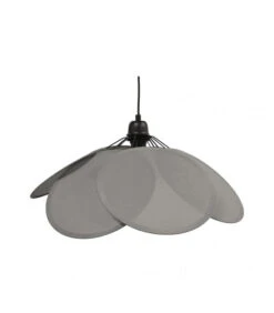 Suspension Evasion Anthracite