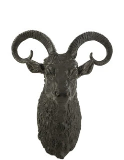 Tête De Chèvre En Aluminium Noir