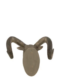 Tête De Chèvre Poly Gris -Magasin De Meubles De Qualité tete de chevre poly grisj line 2