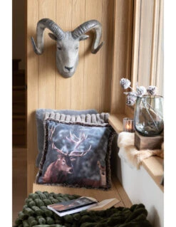 Tête De Chèvre Poly Gris -Magasin De Meubles De Qualité tete de chevre poly grisj line 3